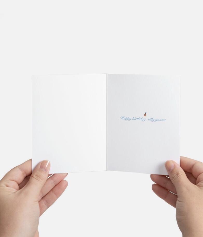 Silly Goose Birthday Card